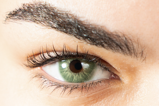 Lentilles de couleur vert clair - L'Amazone