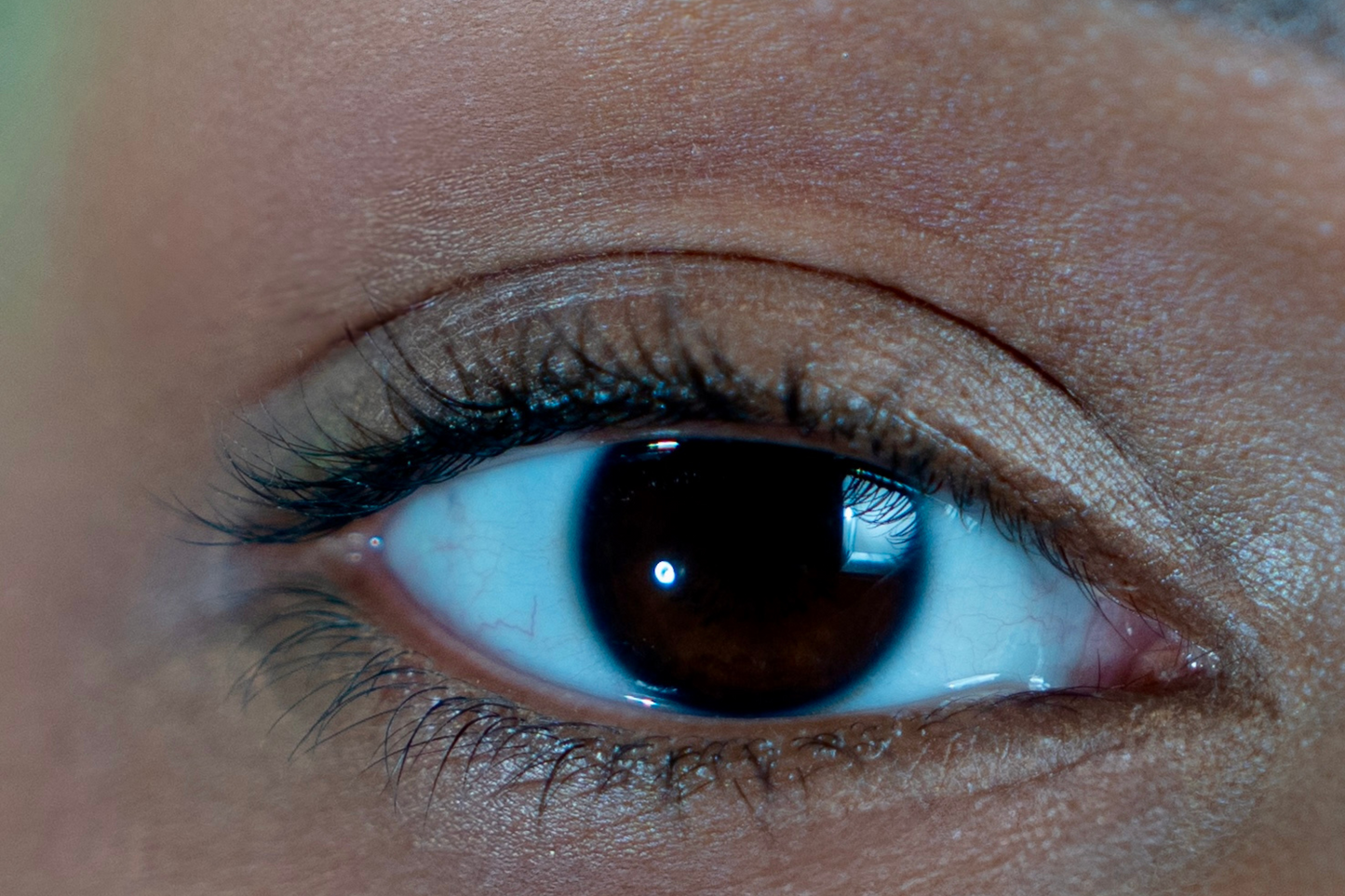 Lentilles de couleur verte - L'Emeraude la grâce précieuse du vert intense.