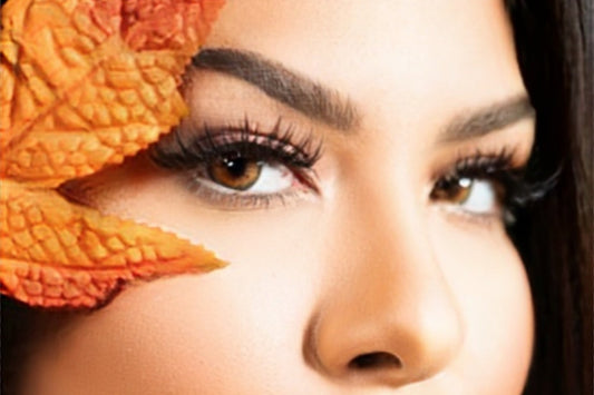 Lentilles de couleur noisette naturel - La Noisette