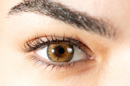 Lentilles de couleur noisette naturel - La Noisette