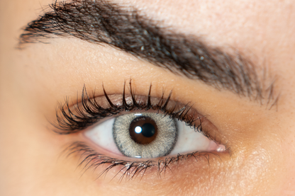 Lentilles de couleur grise - La Perle