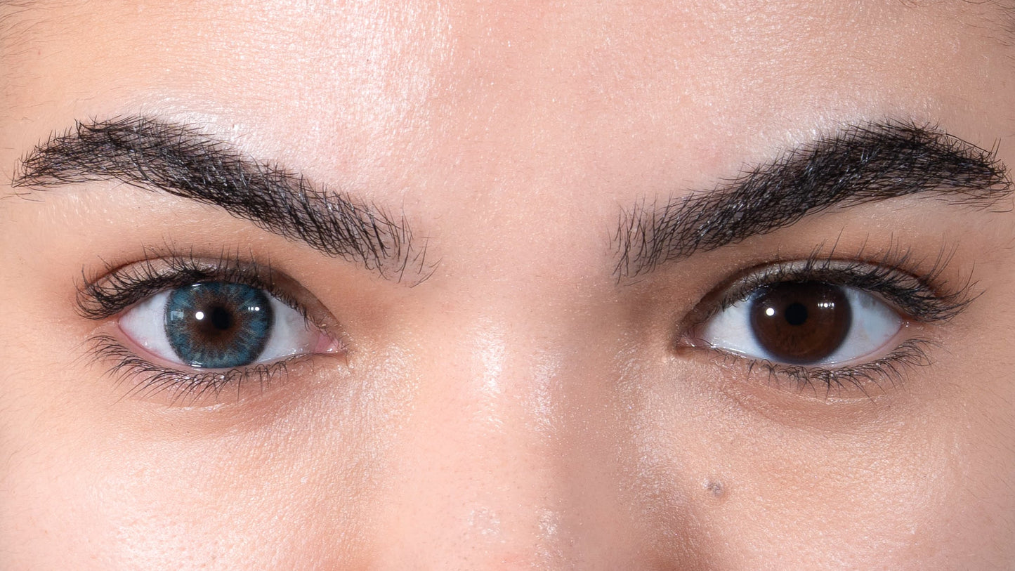 Lentilles de couleur bleu et marron - L'Azur