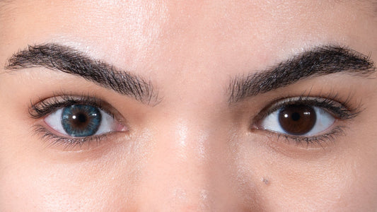 Lentilles de couleur bleu et marron - L'Azur