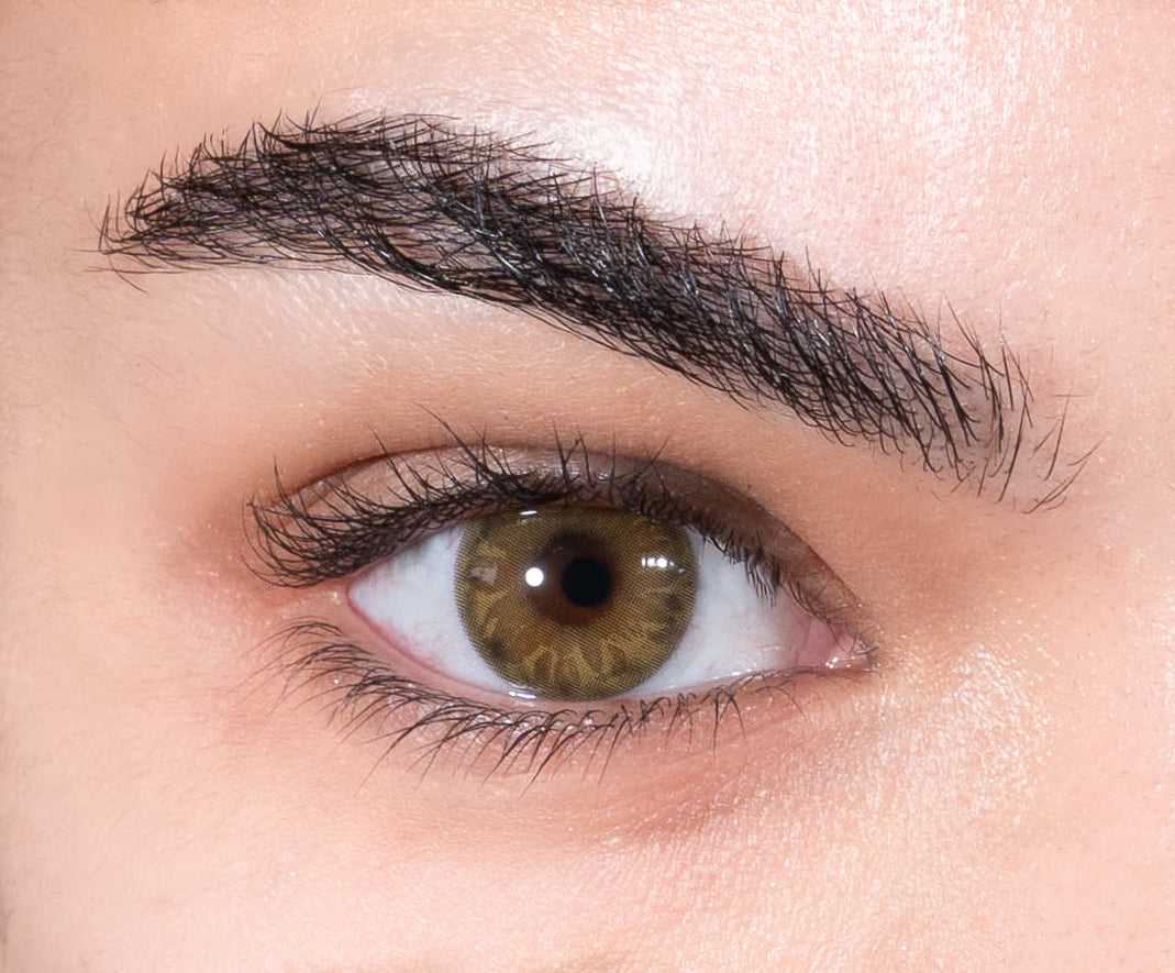 Lentilles de Couleur miel - L'Ambre