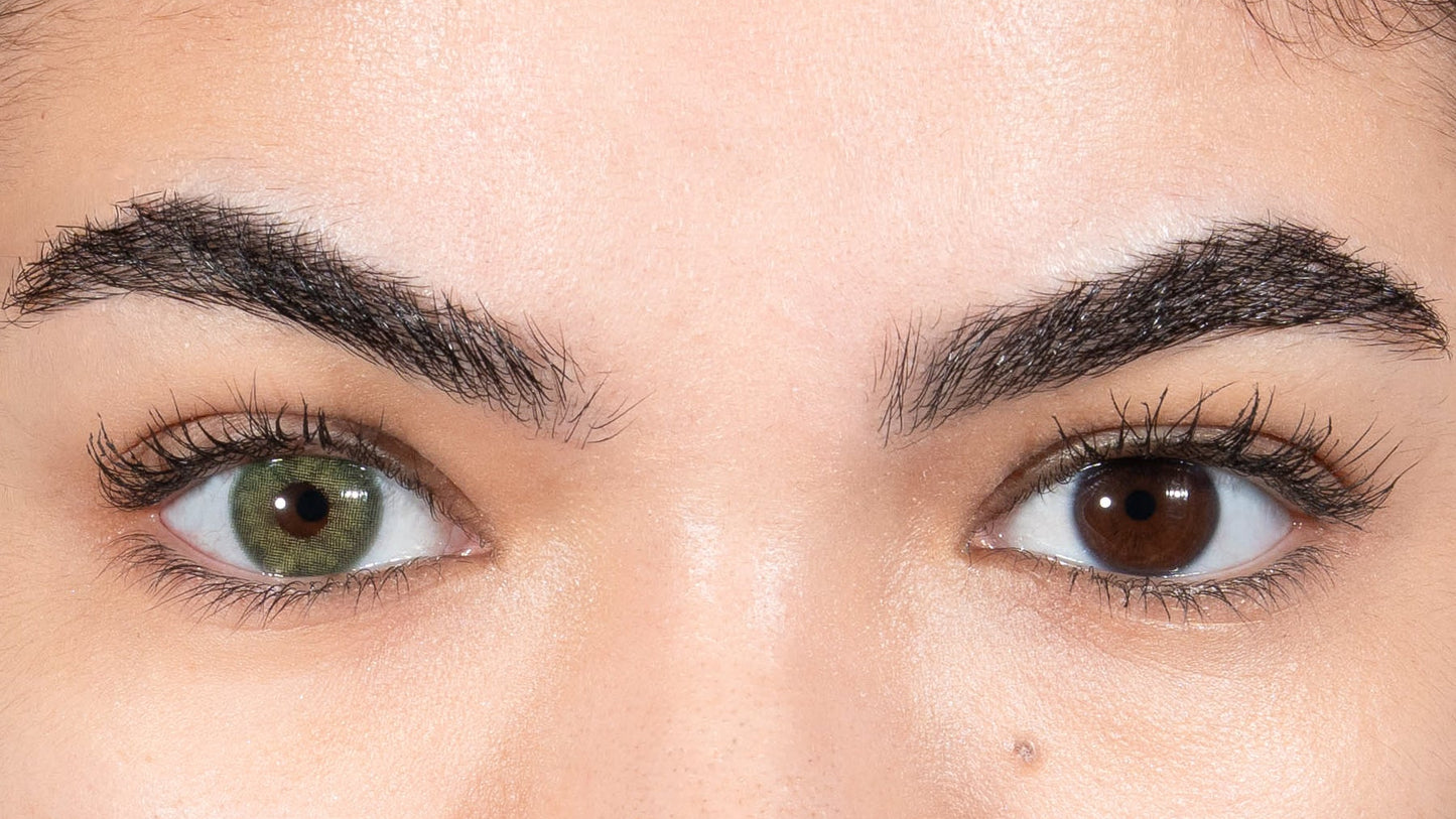 Lentille de couleur vert clair, L'Agathe, un vert minéral raffiné.