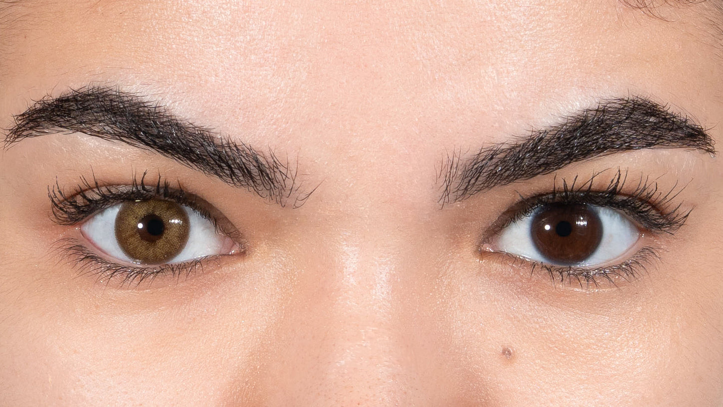 The Chestnut, the quiet nature