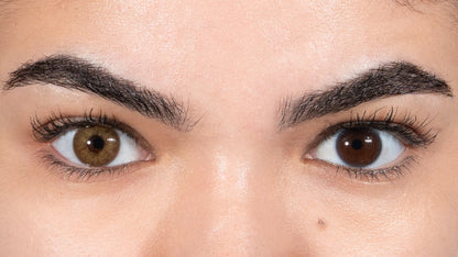 The Chestnut, the quiet nature