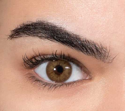 Lentilles de couleur marron clair - La Châtaigne