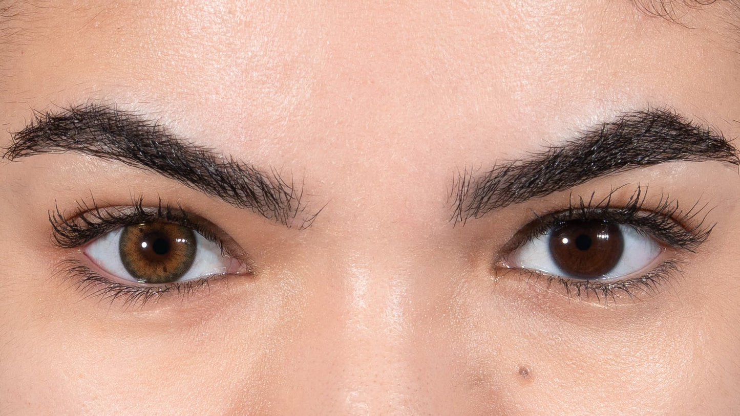 The Hazelnut, the perfect illusion of the real thing