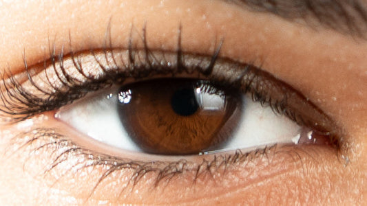 Lentille de couleur grise très naturelle, La Gris-Gris