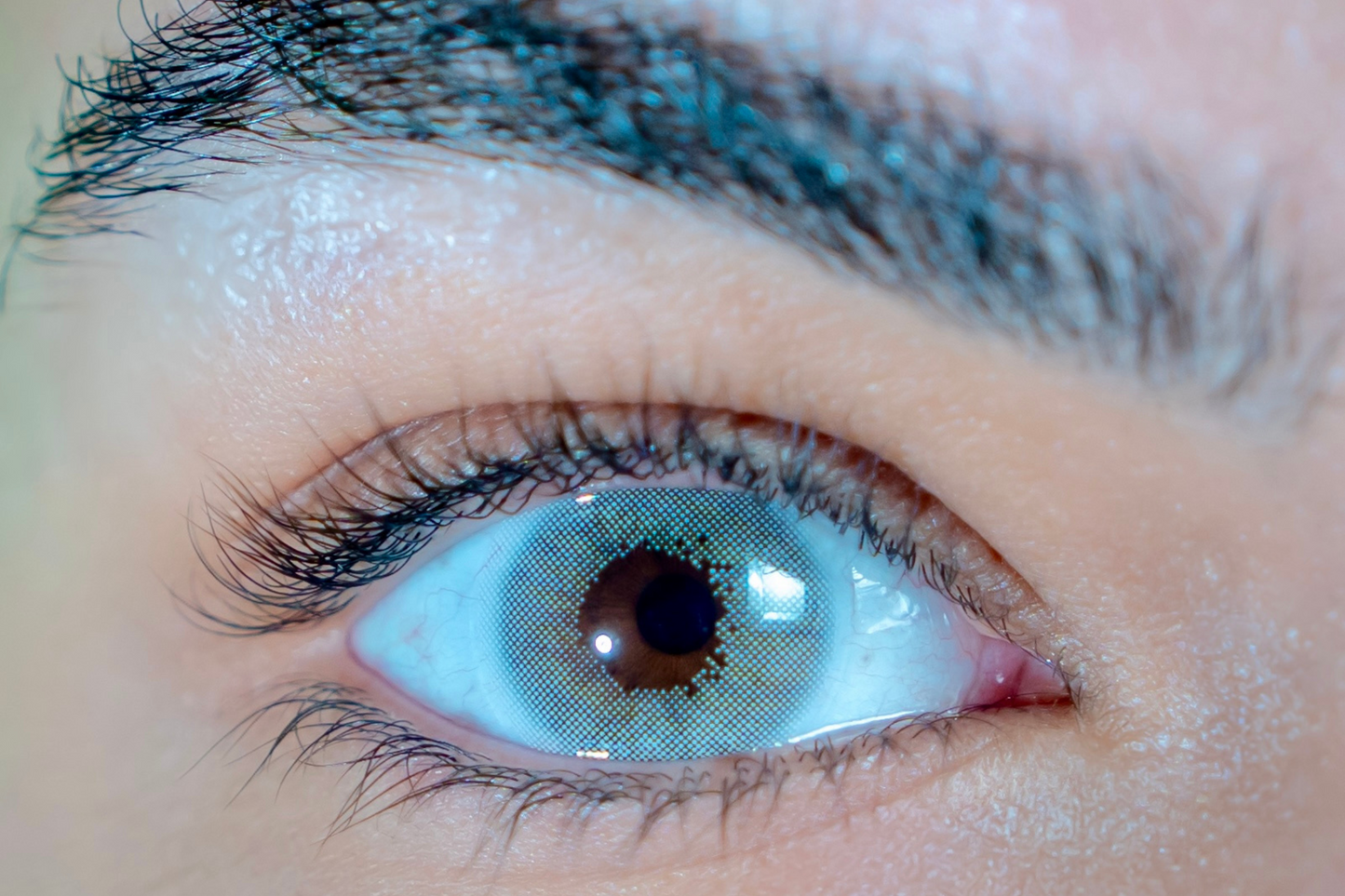 Lentilles de couleur gris clair - La Louve