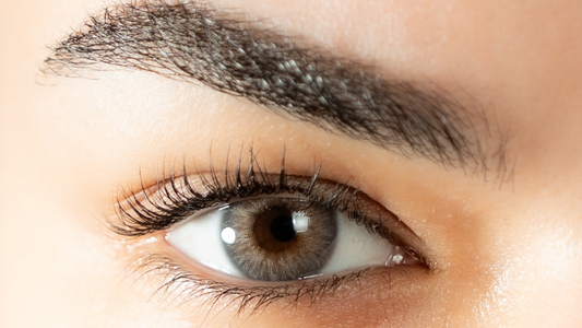 Lentille de couleur grise très naturelle, La Gris-Gris