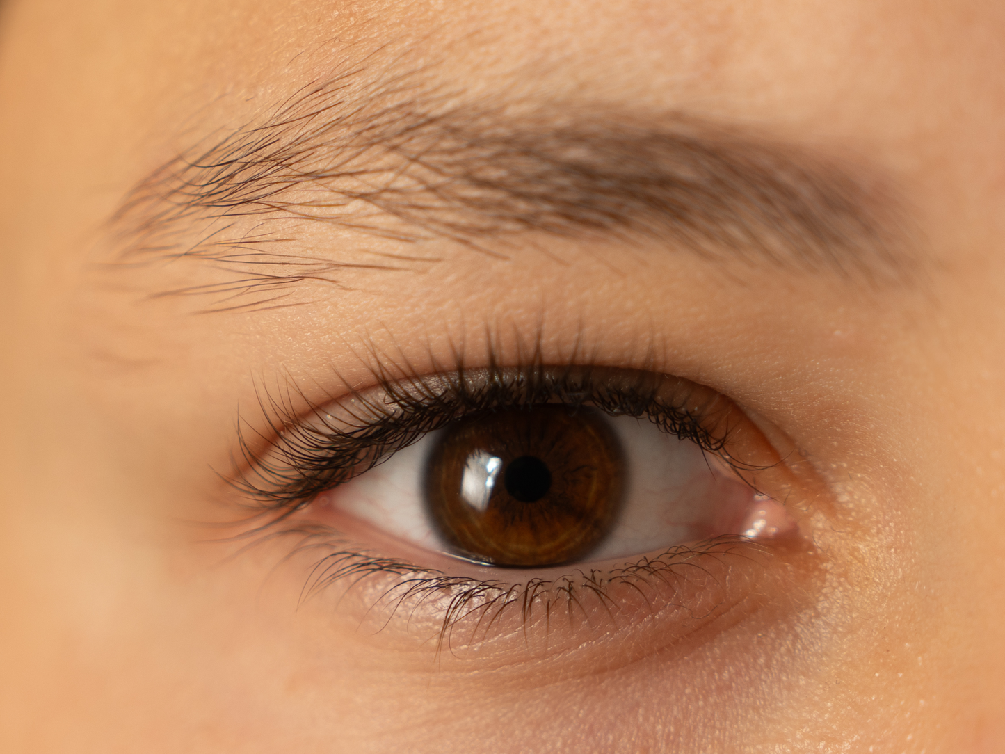 Lentilles de Couleur miel - L'Ambre